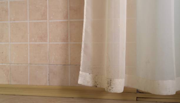 Best Asbestos and Lead Testing During Mold Inspection  in South Patrick Shores, FL