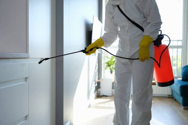 Mold Odor Removal Services in South Patrick Shores, FL