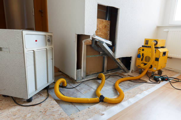 Best Mold Damage Restoration  in South Patrick Shores, FL