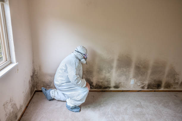 Best HVAC Mold Inspection and Cleaning  in South Patrick Shores, FL
