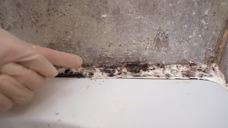 Best Air Quality Testing for Mold Spores  in South Patrick Shores, FL